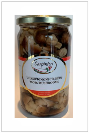 Champignons de Moss d'Italie dans huile Carpinteri